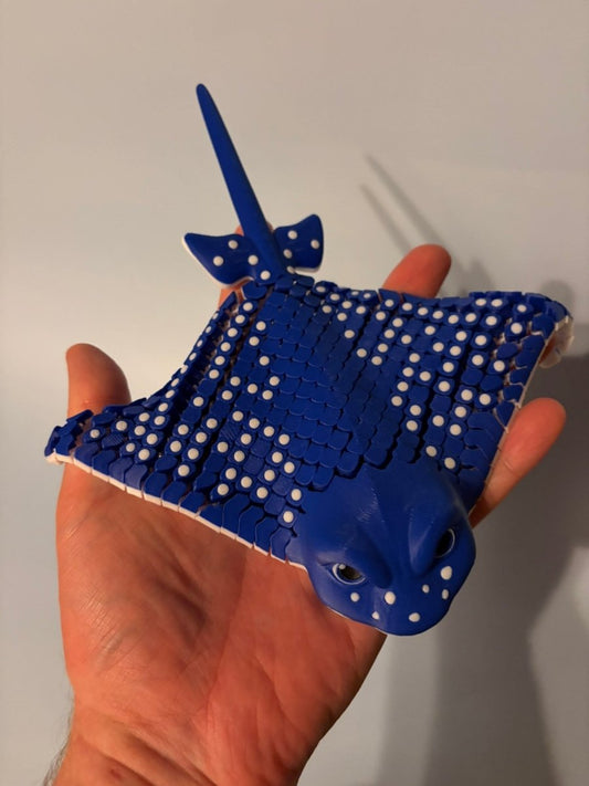 Igor den plettede rokke