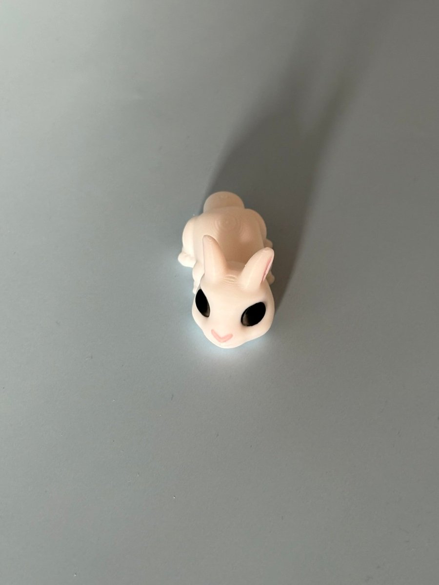 Mini Kanin